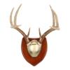 Allen Company EZ Horn Mounting Kit with Hardwood Plaque view 1