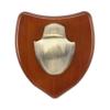 Allen Company EZ Horn Mounting Kit with Hardwood Plaque view 2
