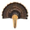 Allen Company EZ Mount Exhibition Turkey Fan & Beard Mounting Kit view 1