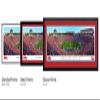 Ole Miss Football (50 yd - day) - 40.25x13.75-inch Standard Framed Print by Blakeway Panoramas view 2