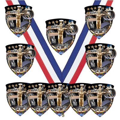 10 Pack Large 3 Inch Shield Shape Boys Male Gymnastics Medals Trophy Team Award with Neck Ribbons CSM
