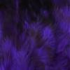 Hareline Fly Tying Strung Grizzly Variant Saddle Hackle - Bright Purple view 1