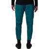 Mountain Hardwear Women's Polartec High Loft Pant, Botanic, XSxR view 2