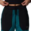 Mountain Hardwear Women's Polartec High Loft Pant, Botanic, XSxR view 3