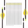 Spine 400 Arrow for 70 Lb Compound Bow 24 Inch Arrow Target Practice Arrow Hunting Arrow Carbon Arrows Adult Youth Archery Indoor Outdoor Shooting Bullet Tip 12pc view 1