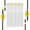 Spine 400 Arrow for 75 Lb Compound Bow 23 Inch Arrow Target Practice Arrow Hunting Arrow Carbon Arrows Adult Youth Archery Indoor Outdoor Shooting Bullet Tip 12pc view 1