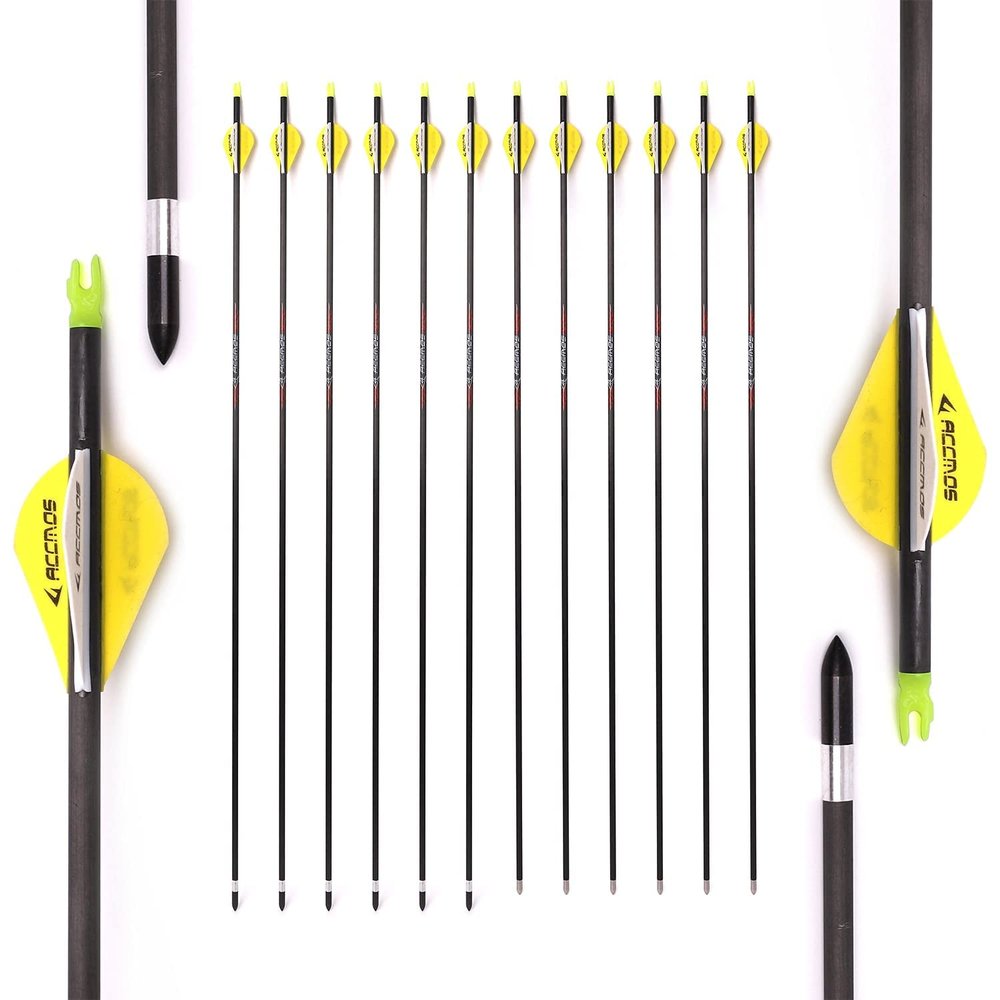 Spine 400 Arrow for 45 Lb Compound Bow 29 Inch Arrow Target Practice Arrow Hunting Arrow Carbon Arrows Adult Youth Archery Indoor Outdoor Shooting Bullet Tip 12pc