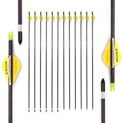 Spine 600 Arrow for 50 Lb Compound Bow 24 Inch Arrow Target Practice Arrow Hunting Arrow Carbon Arrows Adult Youth Archery Indoor Outdoor Shooting Bullet Tip 12pc
