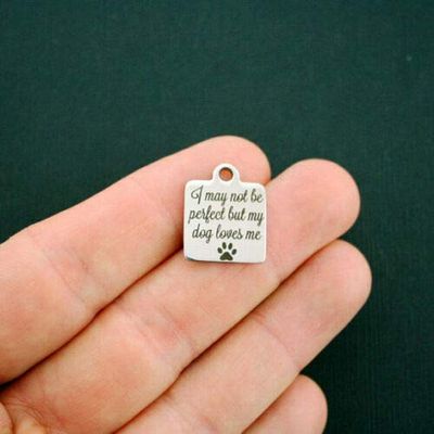 2 Charms Dog Stainless Steel Charm - I May not be Perfect but My Dog Loves me