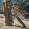 Ragnarhawk Throwing Axe view 4