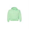 Gildan Men's Heavy Blend Hooded Sweatshirt (18500)(Mint Green) view 1