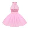 Loloda Little Girls Sequin Sparkly Ballet Dance Dress Tutu Skirted Leotard Ballerina Dancewear Costume Pink 7-8 Years view 2