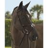 Dover Saddlery TRU-Fit Build-A-Bridle Figure-8 Noseband, Color: Chocolate, Size: Pony-P/S view 2