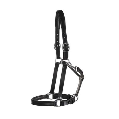 Dover Saddlery Suffolk Everyday Halter, Color: Black, Size: Horse-F/S