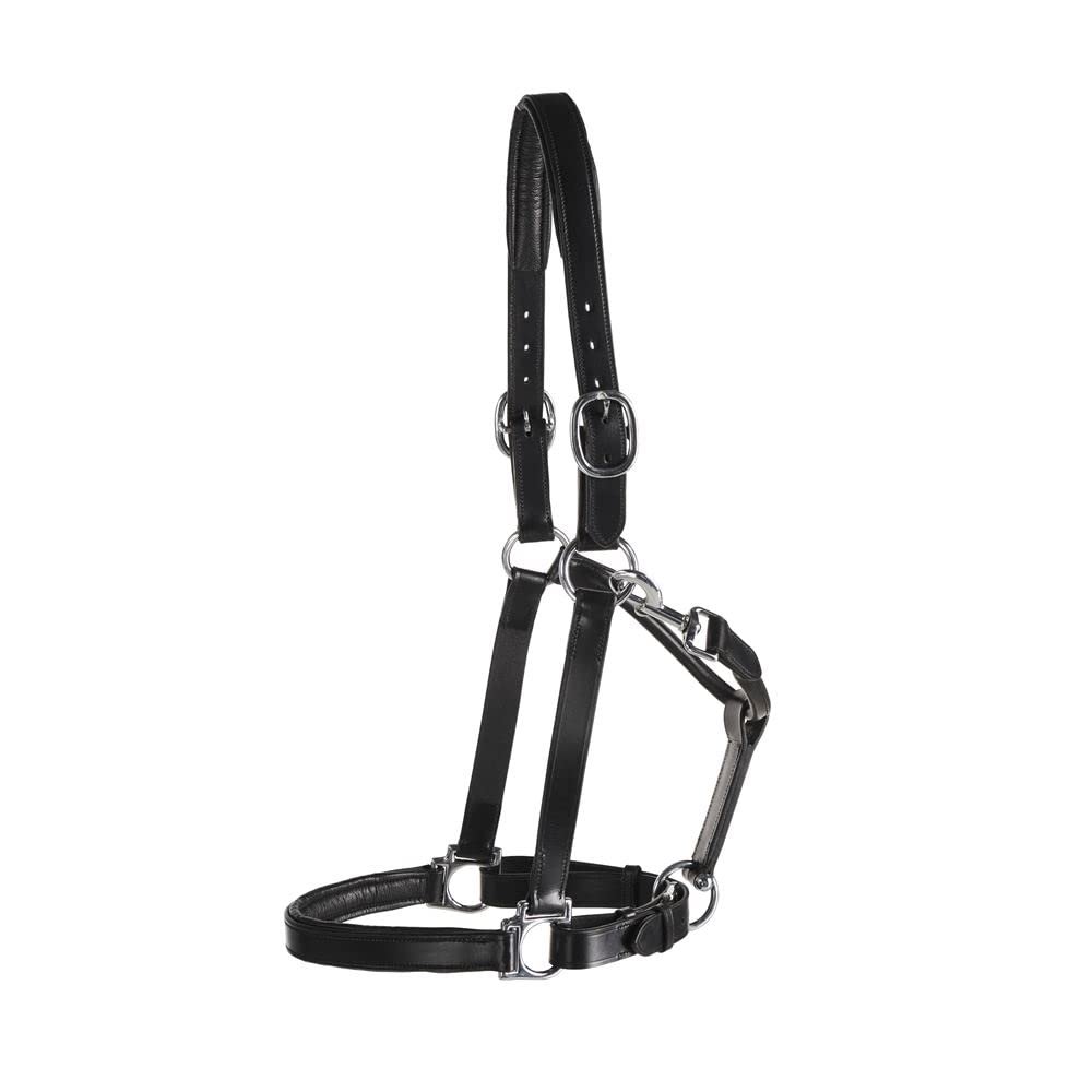Dover Saddlery Suffolk Everyday Halter, Color: Black, Size: Horse-F/S
