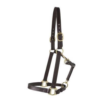 Dover Saddlery Suffolk Triple-Stitched Halter, Color: Brown, Size: Horse-F/S