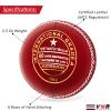 YNR Cricket Practice Wind Balls 5 1/2 oz Indoor Outdoor Professional Hollow Pack (Pack of 1) view 2