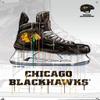 Trends International NHL Chicago Blackhawks - Drip Skate 21 Wall Poster, 14.72" x 22.37", Premium Poster & Push Pin Bundle view 4