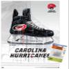 Trends International NHL Carolina Hurricanes - Drip Skate 21 Wall Poster, 14.72" x 22.37", Premium Poster & Push Pin Bundle view 1