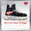 Trends International NHL Detroit Red Wings - Drip Skate 21 Wall Poster, 22.375" x 34", Silver Framed Version view 1