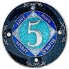 (Years 1-50) NA 5 Year Crystals and Glitter Medallion, Silver Color Plated Coin, Black Rainbow, Blue Glitter and Four Clear Crystals, Epoxy Covered view 1