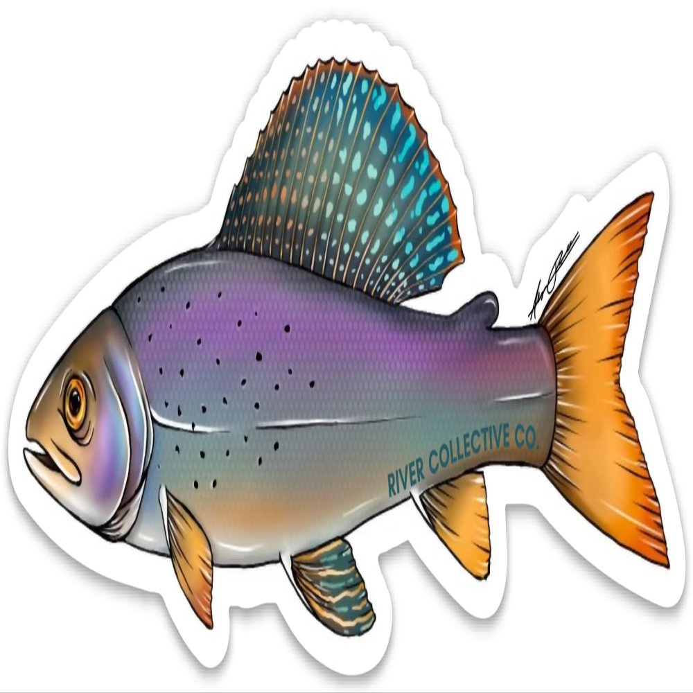 Arctic Grayling Decal Sticker - 20% Flows Back into Local Rivers