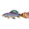 Arctic Grayling Decal Sticker - 20% Flows Back into Local Rivers view 4