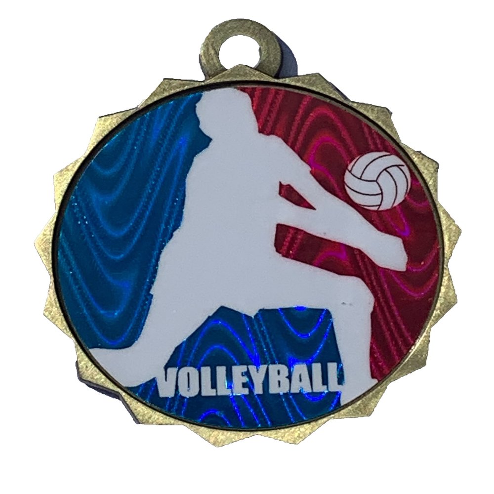 10 Pack Large 2.25 Inch Volleyball Medals Trophy Team Award with Neck Ribbons MLM