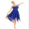 WinChang Womens Adult Elegant Lyrical Ballet Dance Costume Asymmetric Modern Contemporary Dresses Flowy Tulle Dancewear Blue Medium view 3