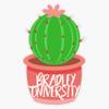 Bradley University Cactus Vinyl Waterproof Sticker Decal Car Laptop Wall Window Bumper Sticker 5" view 1