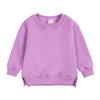 Kids Boys Girls Brushed Fleece Sweatshirt Toddler Solid Color Round Neck Long Sleeve Pullover Baby Thick Warm Tops view 1