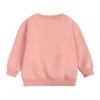 Kids Boys Girls Brushed Fleece Sweatshirt Toddler Solid Color Round Neck Long Sleeve Pullover Baby Thick Warm Tops view 3