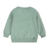 Kids Boys Girls Brushed Fleece Sweatshirt Toddler Solid Color Round Neck Long Sleeve Pullover Baby Thick Warm Tops view 3