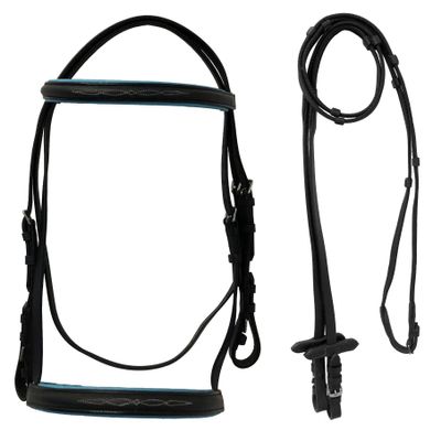 Equitem Leather English Fancy Stitched Padded Bridle with Matching Web Reins (Black/Teal, Miniature)