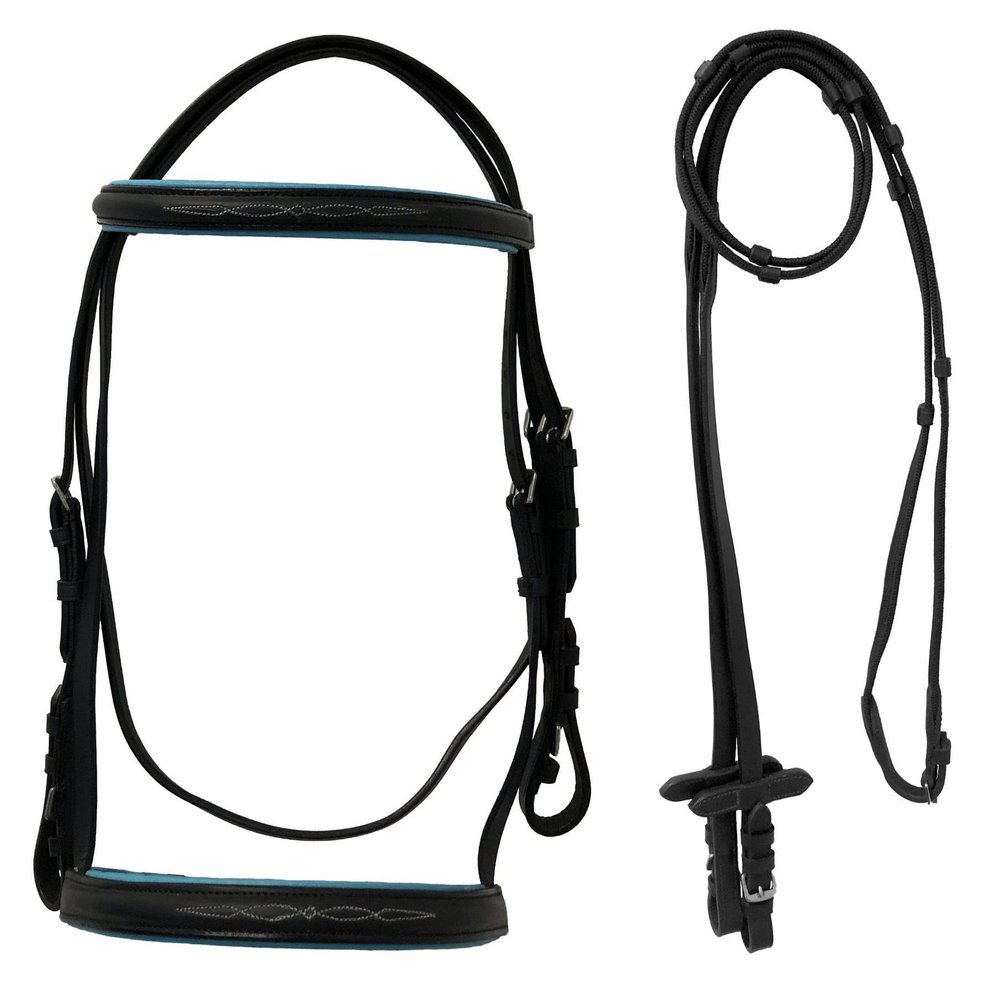 Equitem Leather English Fancy Stitched Padded Bridle with Matching Web Reins (Black/Teal, Miniature)
