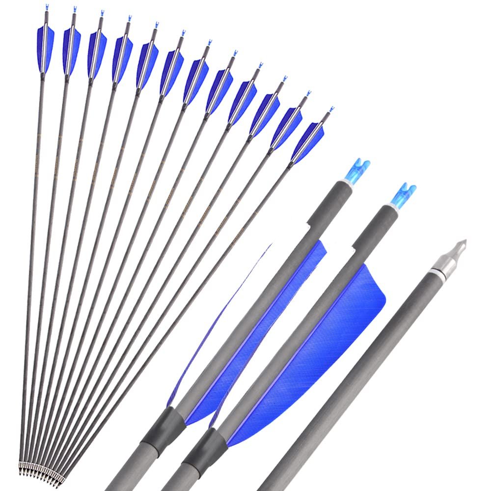 ZSHJGJR Archery Carbon Arrows 400 Spine Practice Target Hunting Arrows 33 inch for Recurve Bow Compound Bow with Removable Tips 6/12pcs (12pcs, Blue)