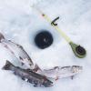 BAODAN Winter Fishing Rod and Reel, Ice Fishing, Fishing Rod and Reel Combo, Fishing Rod, 39g, 8lb Monofilament Line view 3