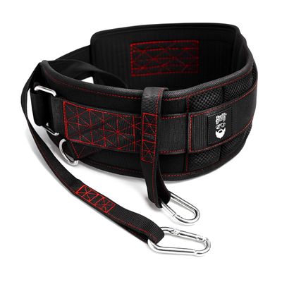 THEFITGUY Ultimate Dip Belt | Secure Closure - No Sliding Down | Structured Back Support | 45-Angle Rings - Comfort Dip Position | 40 Strap & 2 Snap Hooks - for Dips, Pull Ups, Squats, Weight Lifting