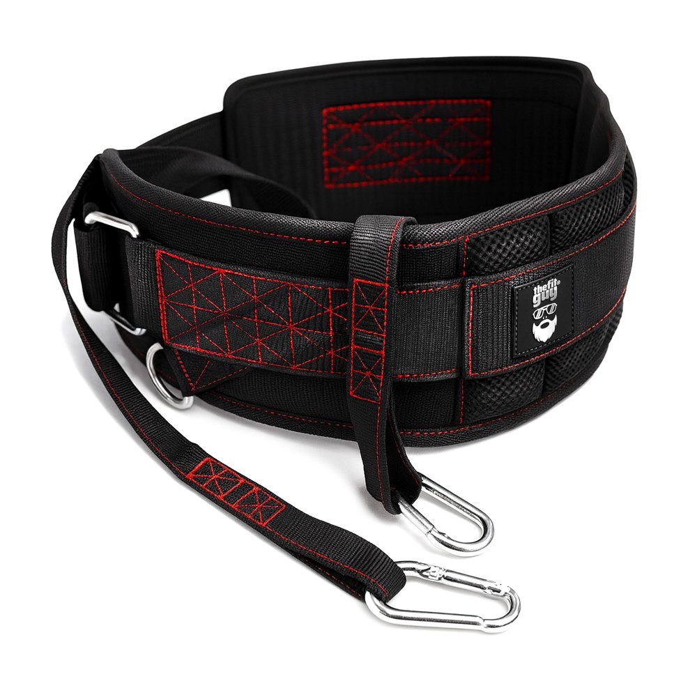 THEFITGUY Ultimate Dip Belt | Secure Closure - No Sliding Down | Structured Back Support | 45-Angle Rings - Comfort Dip Position | 40 Strap & 2 Snap Hooks - for Dips, Pull Ups, Squats, Weight Lifting