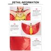 Nimiman Belly Dance Isis Wings Belly Dance Costume Wings with Sticks for Halloween Carnival Performance(Back Open) view 4
