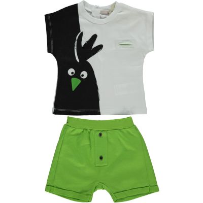 Baby Boy 2-Piece Clothing Set, 100% Cotton Tee and Shorts Set for Baby Boy and Toddler, Toddler Outfits and Gifts (Green, 9-12 Months)