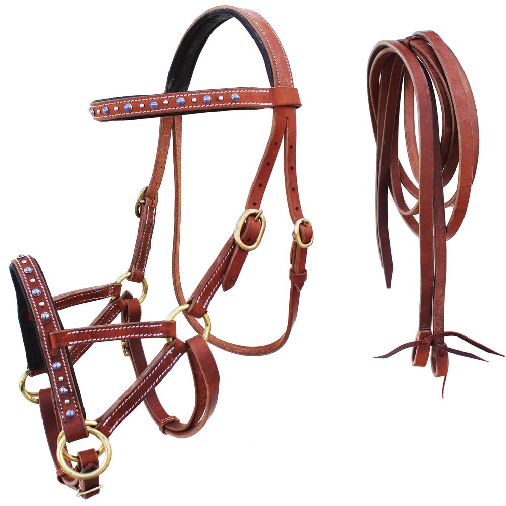 CHALLENGER Horse Western Horse Leather Purple Rhinestone Bitless Sidepull Bridle w/Split Reins 77RS31PR
