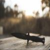 Smith & Wesson 10.5 in High Carbon SS Fixed Blade Knife with 5.5 in False Edge Blade for Outdoor Tactical Survival and EDC,Black view 3