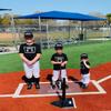 Davison Baseball Softball T-Ball Batter Stance Training Mat, White, 1 view 4