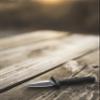 Smith & Wesson 5in High Carbon SS Fixed Blade Knife with 2 in 1 False Edge Blade and Stainless Steel Finish for Outdoor Tactical Survival and EDC view 4