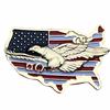 American Flag Veteran Patriot Vet Eagle Hat or Lapel Pin H15659 F6D11O view 1