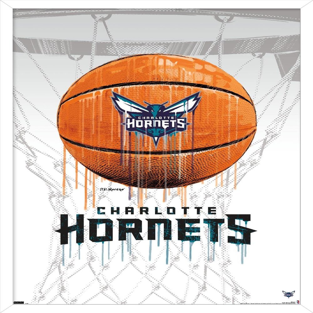 Trends International NBA Charlotte Hornets - Drip Basketball 21 Wall Poster, 22.375" x 34", White Framed Version