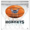 Trends International NBA Charlotte Hornets - Drip Basketball 21 Wall Poster, 22.375" x 34", White Framed Version view 1