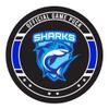TigerTail Sports Personalized Team Logo Hockey Pucks (9035, 25 Pucks) view 3