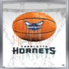 Trends International NBA Charlotte Hornets - Drip Basketball 21 Wall Poster, 22.375" x 34", Silver Framed Version view 1